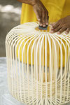 Bambou par Forestier 