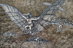 Traum vom Fliegen (nach Goya) | Tusche und Feder | 49 x 39 cm | 2010