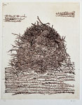 Reisighügel I | Radierung | 44 x 38 cm | 2023