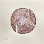Baum Klavier | Aquarellstifte | 30 x 30 cm | 2024