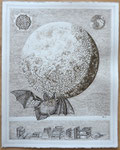 Quo vadis Mond | Tusche und Feder | 83 x 71 cm | 2021