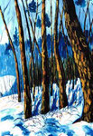 Winterwald | Öl auf Leinen | 80 x 100 cm | 2002