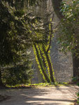 Licht und Schatten
