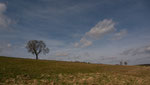In der Vorderrhön