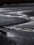 Wattenmeer