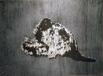 「roaming」 木版　22.8×30.2㎝　2013年