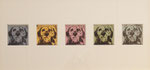 「５days」版画（５点組）トレーシングペーパー　25×50cm　2014年