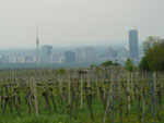 Blick vom Kahlenberg auf das neue Wien