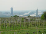 Blick vom Kahlenberg auf das neue Wien