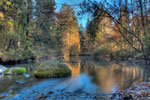 Nr. 11 Aarelandschaft Rubigen (Herbststimmung)