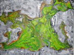 Rock lives with algae