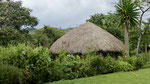 Nkuruba Reserve