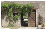 Porte dérobée
