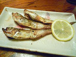 2014/03/01　シロハタ　Grilled Sailfin Sandfish