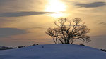 「裏磐梯の夜明け」福島県 / 矢形：初めての裏磐梯、冬景色が最高でした。