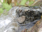 Nach der Flut ist Wasseer trotzdem schön- in dieser sprudelnden Form