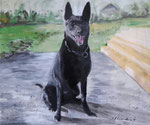 "Draco", Acryl/Lw., 50 x 60 cm - in Privatbesitz