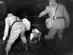 Roma, Giugno 1968 - Manifestante inseguito e pestato da carabinieri e polizia a Campo de Fiori