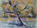 Le vieil arbre                             aquarelle     70 x 90