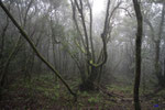 La Gomera island, Canarias