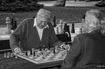 Schach, Spiel der Könige