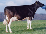 Routrey Ricon WINDROSE VG89/3 3*