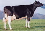 Routrey Eblack WINNIPEG EX90 GM