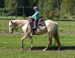 "Born To BE My Star" als Kinderreitpferd