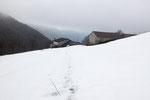 Alpe Bolgia 1121 m