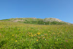Piz Vizan