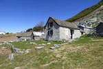 Alpe Bardughè 1639 m