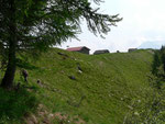 Alpe di Motto 1864 m