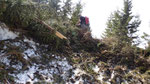 Sul sentiero che collega la Capanna Brogoldone all'Alp de Martum affrontiamo diversi alberi e detriti trascinati da slavine