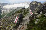 Bergseehütte con il Dammagletscher