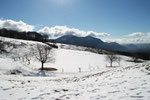 Alpe Vicania 704 m