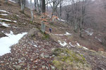 Sentiero per il Monte Saletta