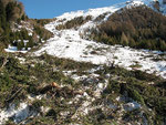 Valanga all'Alpe Domas 1666 m