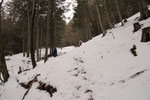 Nel bosco sopra Monda