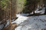 Sul sentiero troviamo ancora tanta neve e alberi caduti questo inverno