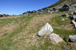 Alpe Bardughè 1639 m