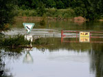 Bullenweide mit Hochwasser