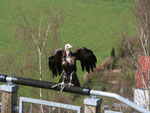 Abflug