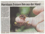 Es steht in der Zeitung"Zahme Hornissen"