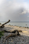 Geröllstrand bei Warnemünde