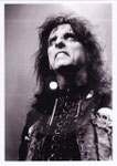 Het Stoopid - Musical Postcard - Poland - Front