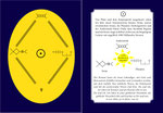 Sonnen-Karte 5 - Der lebendige Kosmos
