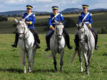 Internationale deutsche Kavalleriemeisterschaften