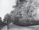 Stockfield Road by Douglas Road 29 July 1925 (Birmingham Libraries)