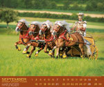 Foto vom Haflinger 2014 Kalender Gabrielle Boiselle