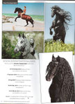 Baroque Horse Magazine Issue 7 von Danielle Skermann, Australia 